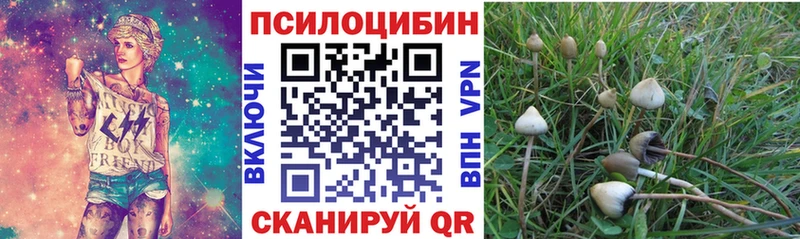 Псилоцибиновые грибы Psilocybe  Тосно 