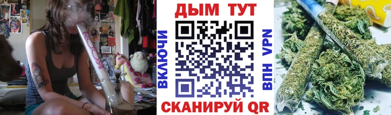 Конопля план Тосно